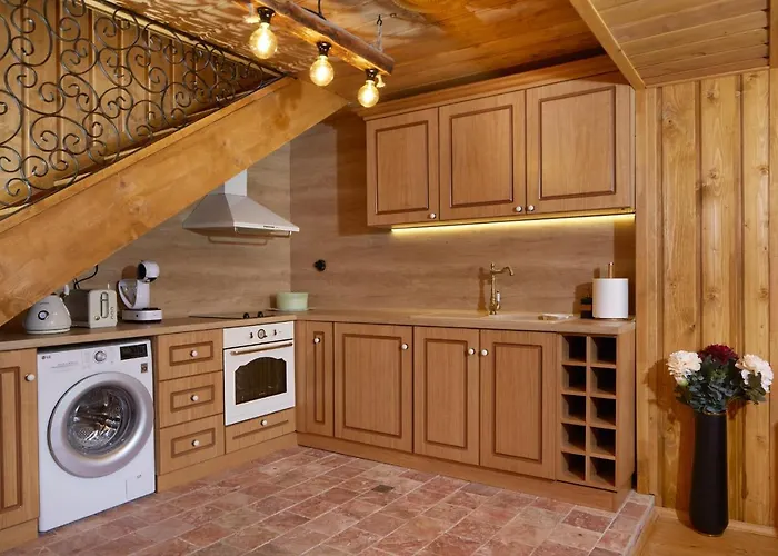 别墅 търтефф 内塞伯尔